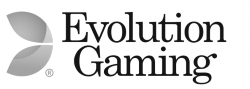 Evolution Gaming Software Developer